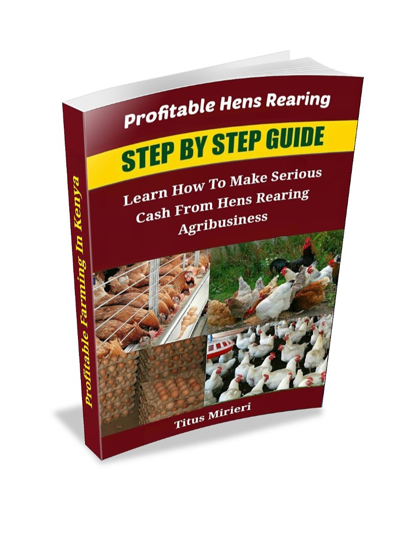 Poultry Farming Guide.  Hen Rearing Step by Step